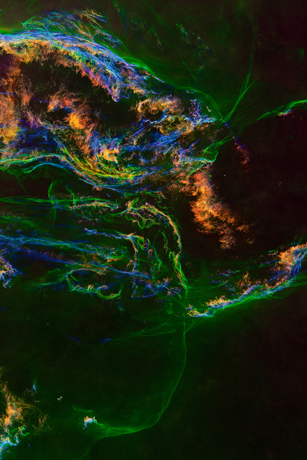 Fot. Zixiong Ji, &quot;Veil of Stars&quot;, 2. miejsce w kat. Stars &amp; Nebulae / ZWO Astronomy Photographer of the Year 2025