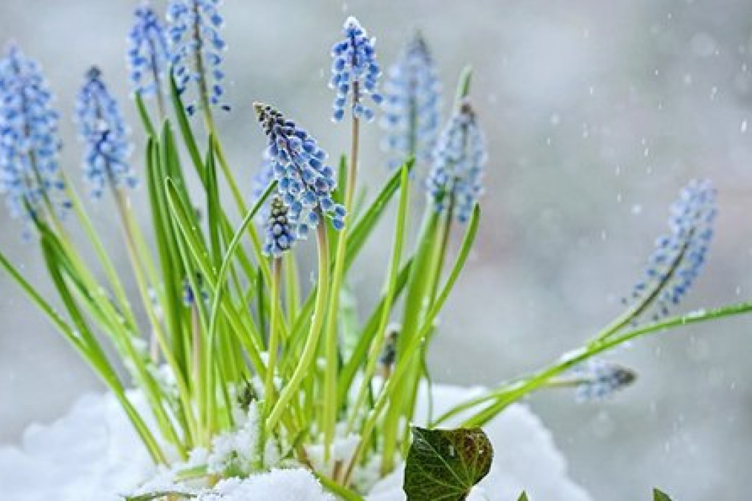 6 porad dotyczących makrofotografii od Magdaleny Wasiczek