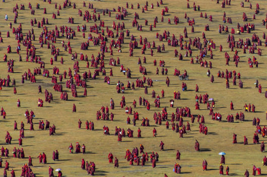 fot. Shinya Itahana, Pattern of Grassland, 3. miejsce w kategorii People / Urban Photo Awards 2019
