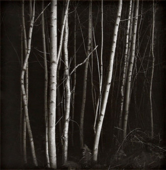 Anna Kucowska "W ciszy" - wystawa w Galerii Refleksy
