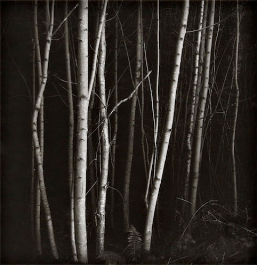 Anna Kucowska "W ciszy" - wystawa w Galerii Refleksy