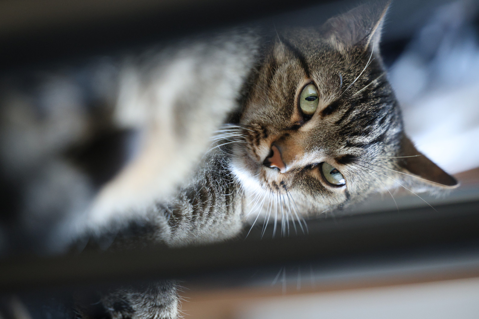 1/100 s, f/2.8, ISO 5000, 99.0 mm