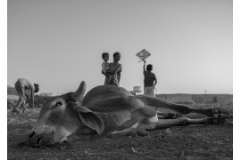 fot. Sampa Guha Majumdar, z cyklu "Childhood", 2. nagroda w kategorii Photojournalism / Monovisions Photography Awards 2019