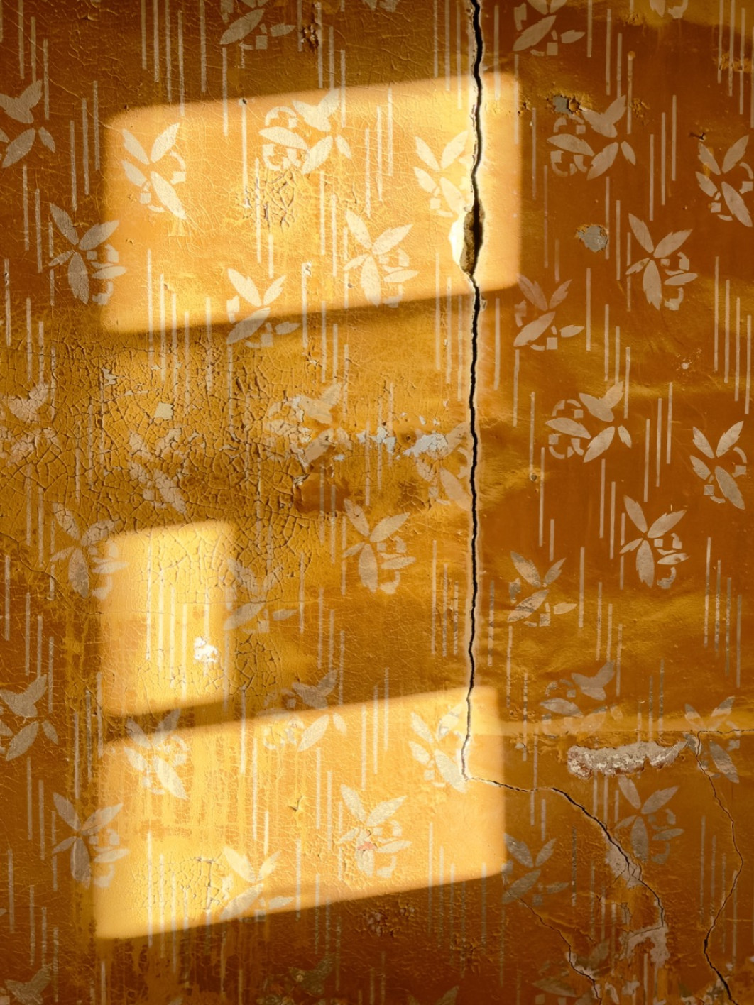 Fot. Jo Borzsony, 3. miejsce w kat. Abstract / iPhone Photography Awards 2026