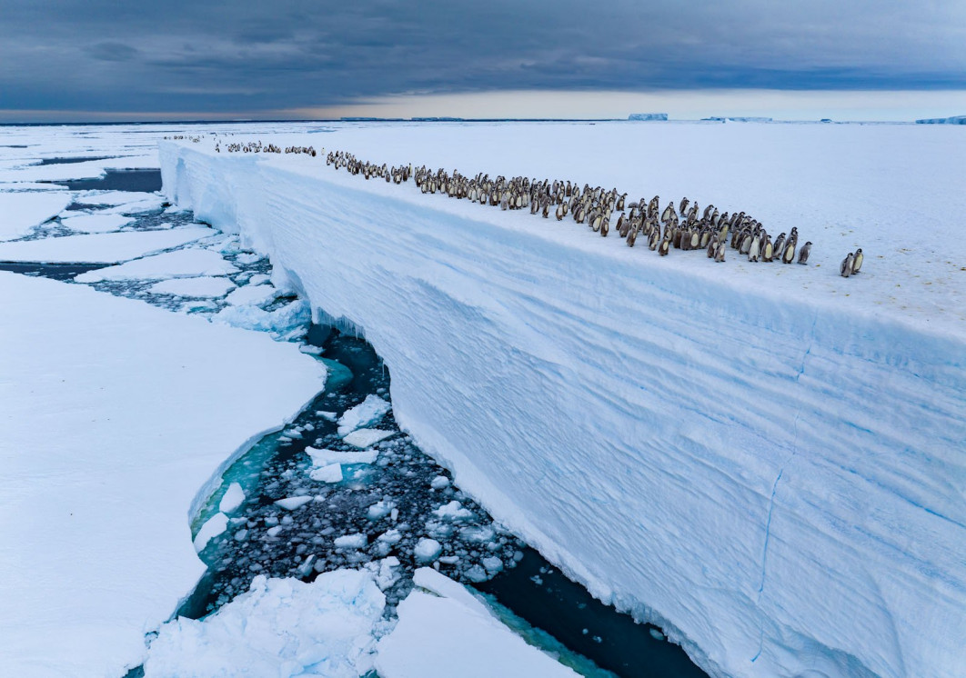 Ice Edge Journey, fot. Bertie Gregory (Wielka Brytania) / Wildlife Photographer of the Year 2025
