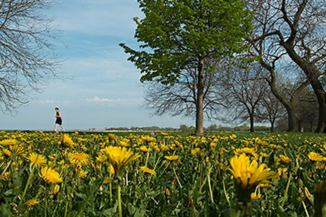 Foto porady Szkoły Perfekcyjnej Fotografii na fotopolis.pl - "Kompozycje opisujące historię”