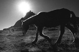 Fotograficzna podróż w bałkańskim tyglu. Nowa fotoekspedycja Akademii Nikona