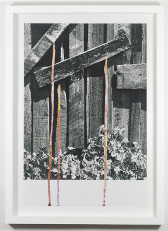 Karolina Breguła, Michał Jelski, Krzysztof Pijarski - wystawa "Sztuczność" w Galerii Fundacji Archeologia Fotografii