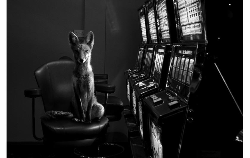 1. nagroda w konkursie amatroskim i tytuł  Amateur Fine Art Photographer of the Year, fot. Jason McGroarty