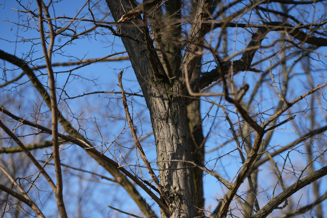 1/3200 s, f/2, ISO 100, 135.0 mm