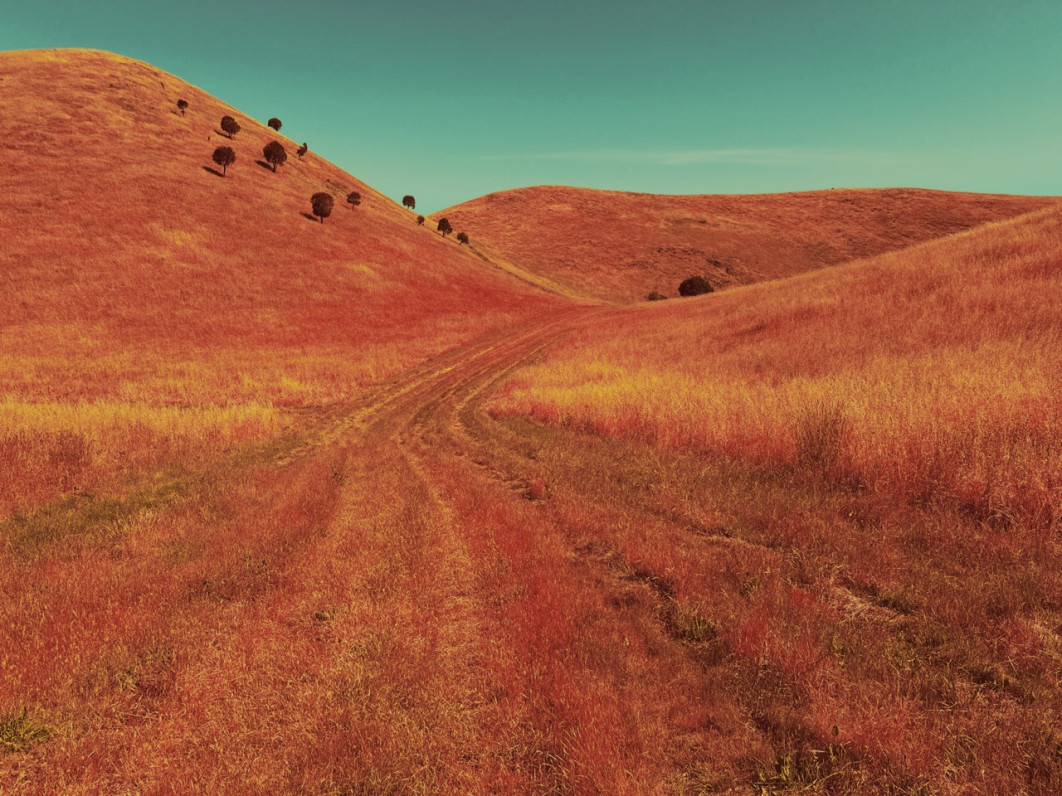 Fot. Anthony Ginns, 1. miejsce w kat. Landscape / iPhone Photography Awards 2026