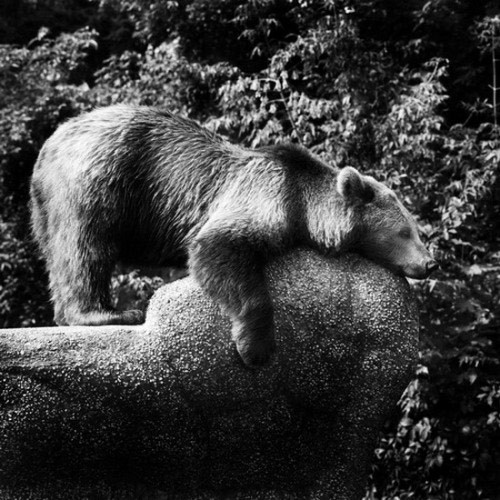 Agata Passent + Wojtek Wieteska w Galerii Pauza