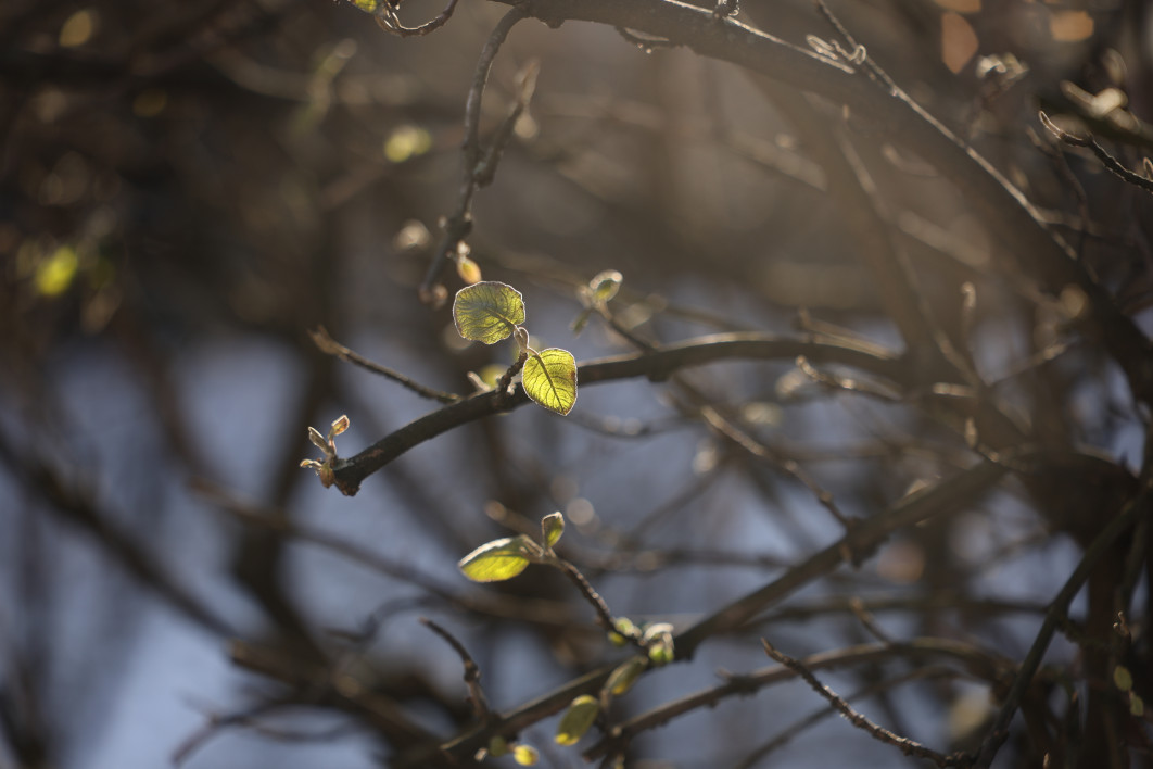 1/500 s, f/2.8, ISO 100, 105.0 mm