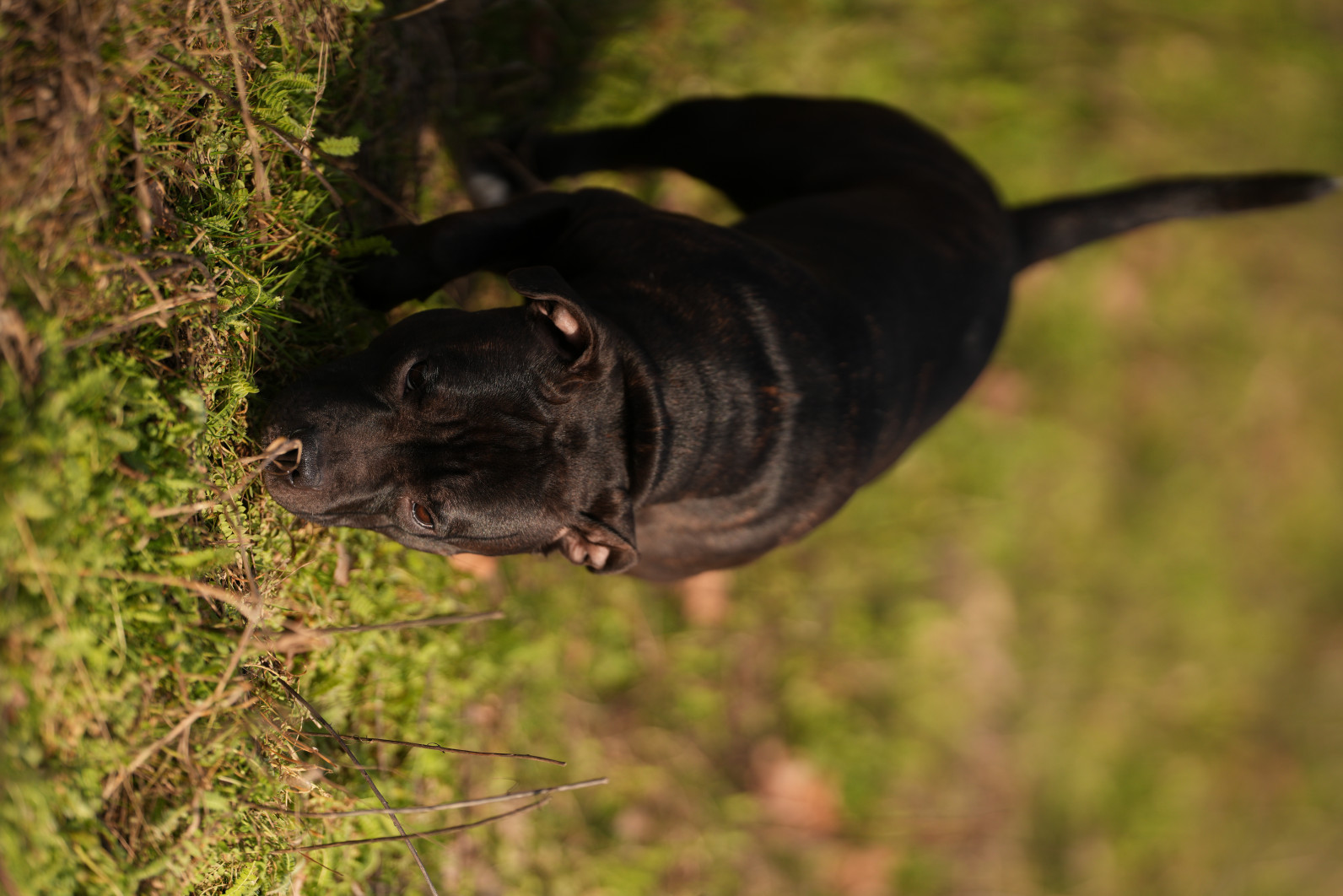 1/4000 s, f/1.8, ISO 100, 135.0 mm