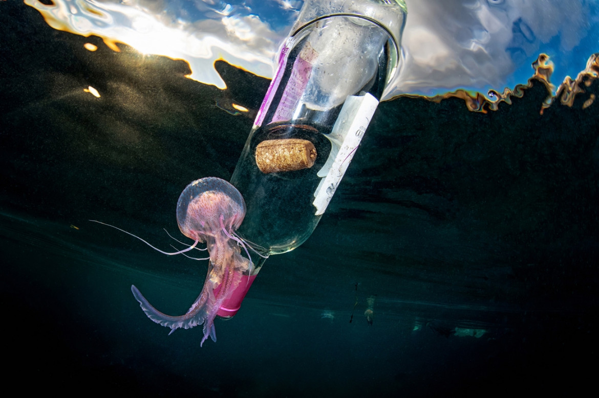 Fot. Pasquale Vassallo, "Underwater Pollution", 1. miejsce eq-aequo w kat. Storyboard / Siena International Photo Awards<br></br><br></br>W ostatnich latach Pasquale skupił się na badaniu reakcji organizmów morskich na zanieczyszczenia środowiska, prezentując wyniki swojej pracy w tym portfolio. Obrazy te są jednak jedynie oknami na rozległy wpływ, jaki wywieramy na nasze oceany. Niektóre ujęcia pokazują organizmy morskie zmagające się z adaptacją do wyrzucanych przez nas odpadów. To surowe przypomnienie: nasze oceany duszą się pod ciężarem plastikowych zanieczyszczeń, a prognozy sugerują, że do 2050 r. mogą one przeważać nad życiem morskim.