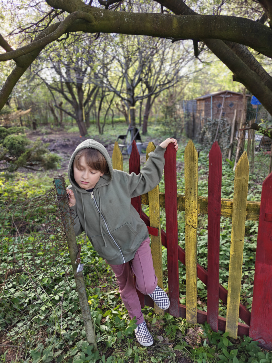 1/425 s, f/4, ISO 250, 6.1 mm