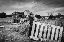 fot. Mariusz Śmiejek, dla „Gazety Wyborczej”. 2. miejsce w kategorii Ludzie / Reportaże.

Irlandia, Belfast. Mimo że konflikt pomiędzy irlandzkimi katolikami a brytyjskimi protestantami w Irlandii Północnej zakończył się porozumieniem wielkopiątkowym w 1998 roku, do dziś odbija się on jeszcze szerokim echem i daje się mocno we znaki mieszkańcom prowincji. Co roku na kilka miesięcy przed 11 lipca między nowoczesnymi wieżami ze stali, betonu i szkła powstają ogromne wieże z drewnianych palet – to ogniska lojalistów w dzielnicach klasy pracującej, budowane dla uczczenia zwycięstwa Anglików nad Irlandczykami w bitwie nad Boyne w 1690 roku. Sięgające czasem ponad 40 m budowle zostają podpalone podczas hucznej celebracji o północy z 11 na 12 lipca, co często doprowadza do kolejnych sporów między katolikami a protestantami. Na zdjęciach kolejno: 1/ Pracownicy społeczni i wolontariusze wizytują jedno z wielu ognisk w okolicy Greater Shankill; 2/ Grupa młodzieży brytyjskiej z północnego Belfastu zaangażowana w budowanie ognisk podczas wizyty w Siege Museum w Londonderry zapoznaje się z historią powstania Irlandii Północnej; 3/ Jeden z najmłodszych Brytyjczyków na Upper Shankill w Belfaście zaangażowany w budowę wieży z palet; 4/ Przy każdym ognisku na kilka tygodni przed 12 lipca organizowana jest straż, która czuwa w specjalnie zbudowanych drewnianych domkach, by za dnia lub w nocy irlandzcy republikanie nie podpalili drewna przed planowaną datą; 5/ 14-letni Ryan mieszka w północnym Belfaście, buduje ogniska od sześciu lat, w dni powszednie poświęca na to ok. siedmiu godzin dziennie, a w weekendy całe dnie; 6/ Jedna z wież w dzielnicy Upper Shankill na kilka godzin przed jej podpaleniem; 7/ Sandy Row, centrum Belfastu: na dwa tygodnie przed datą obchodów ktoś ze strony irlandzkich republikanów podpalił konstrukcję z kilkuset palet zbieranych od kilku miesięcy. 25 czerwca 2015 – 12 sierpnia 2016.