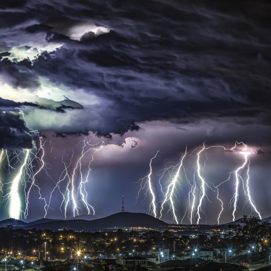 fot, Ari Rex, Nature Photographer Of the Year / IPA 2020