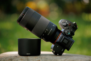 Sony FE 100-400 mm f/5.6-8 - test praktyczny [+RAW do pobrania]