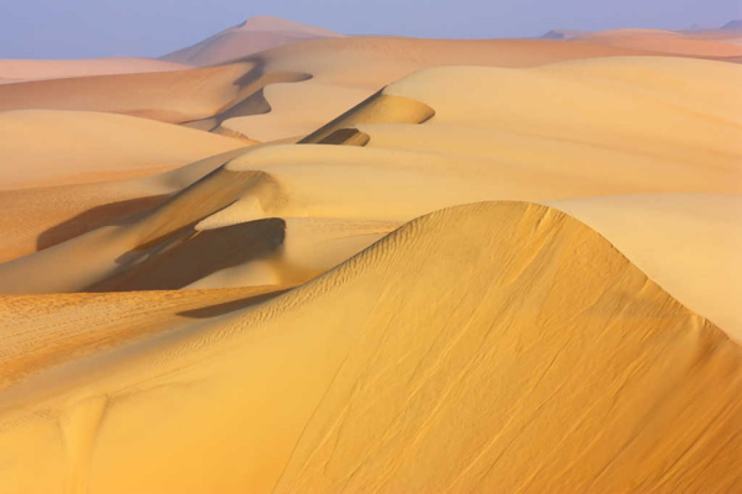 Fotografie przyrody - wystawa w Muzeum Ziemi PAN w Warszawie