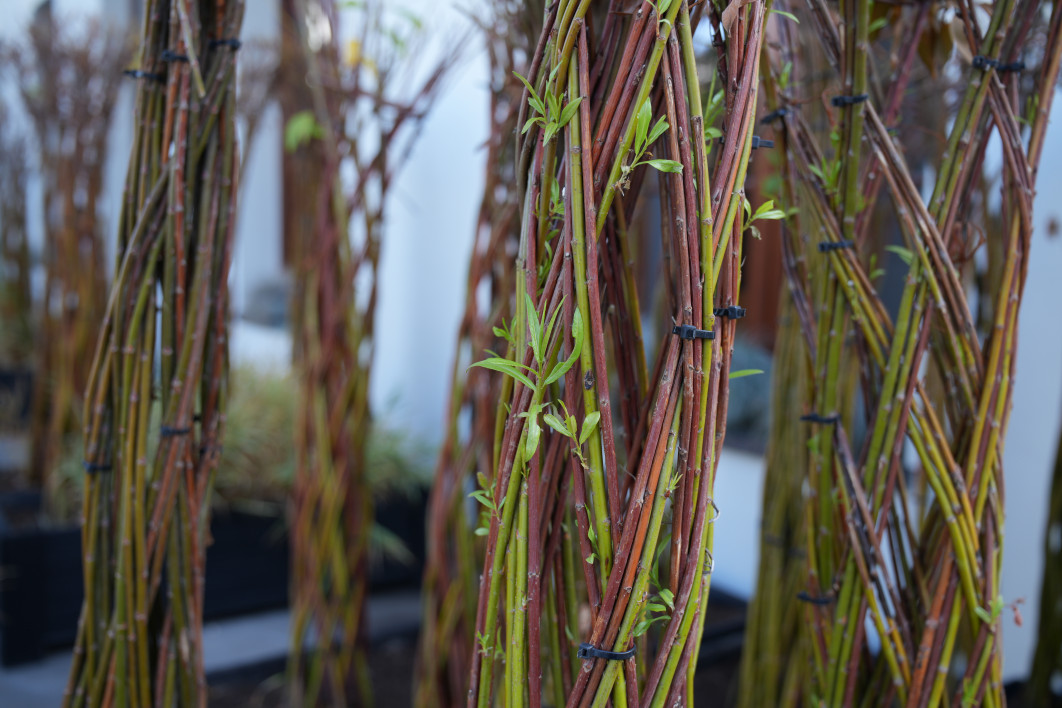 1/50 s, f/4, ISO 100, 35.0 mm