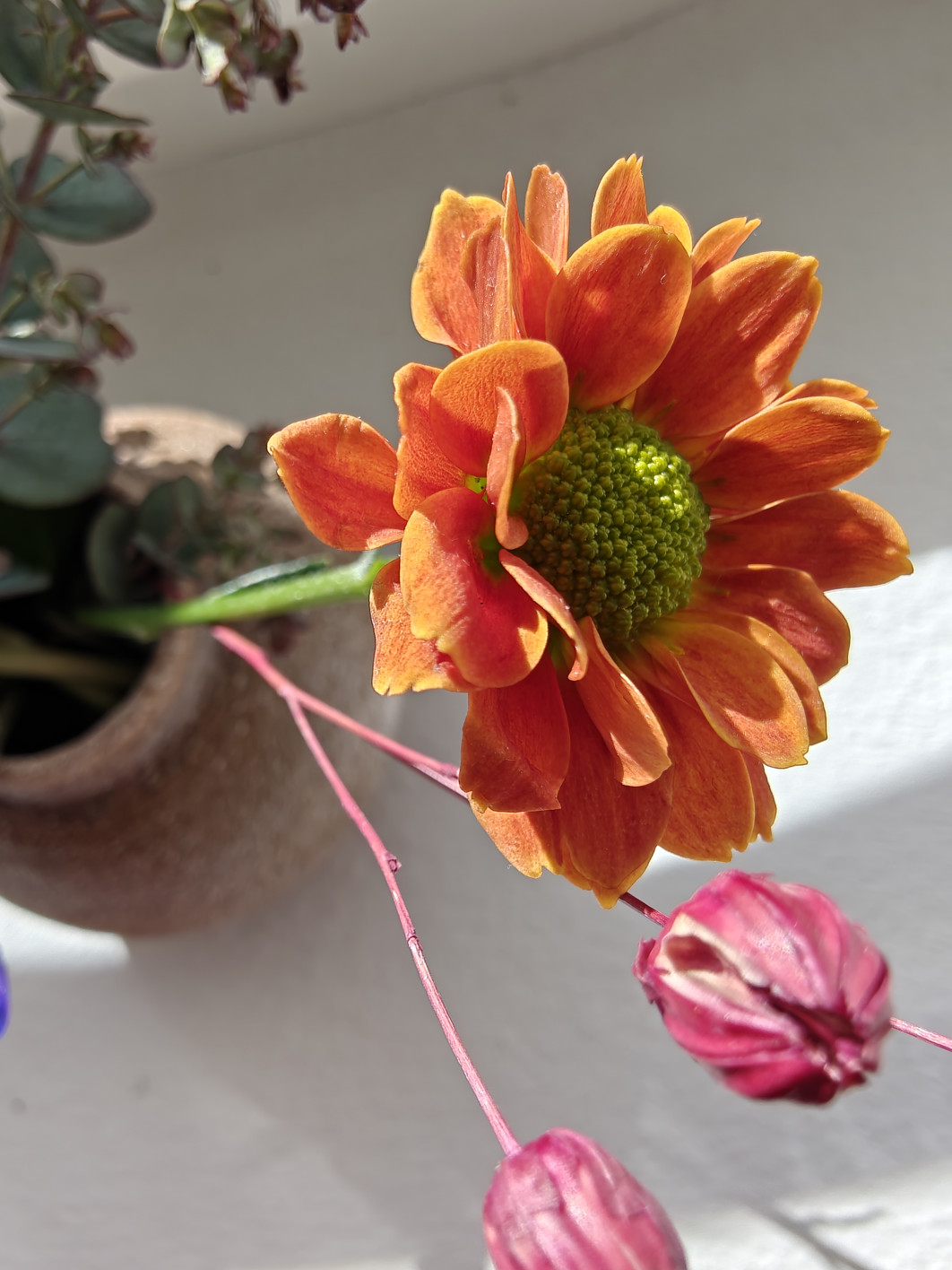 1/200 s, f/2, ISO 100, 2.3 mm