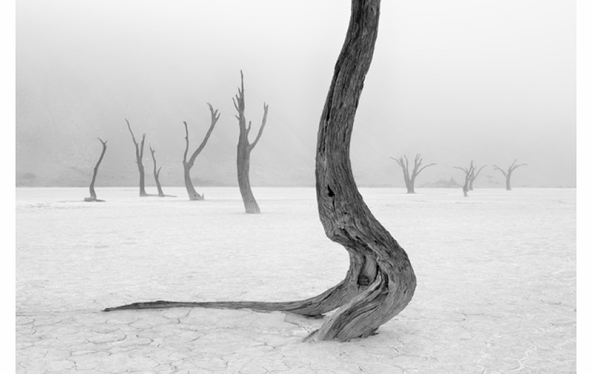 Marsel van Oosten, Holandia