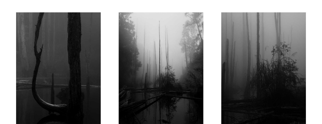 Fot. Lasda Takbanuaz, 1. miejsce w kat. Series / iPhone Photography Awards 2026