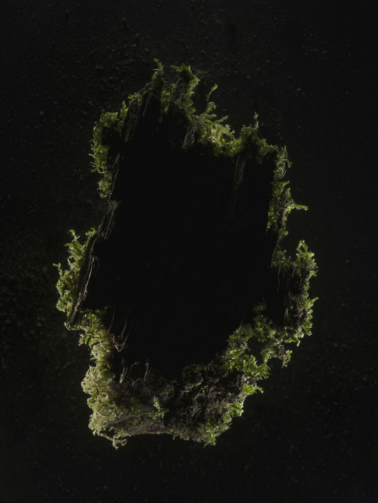 Diana Lelonek, Untitled, z cyklu “Znacznie wcześniej”, 2014