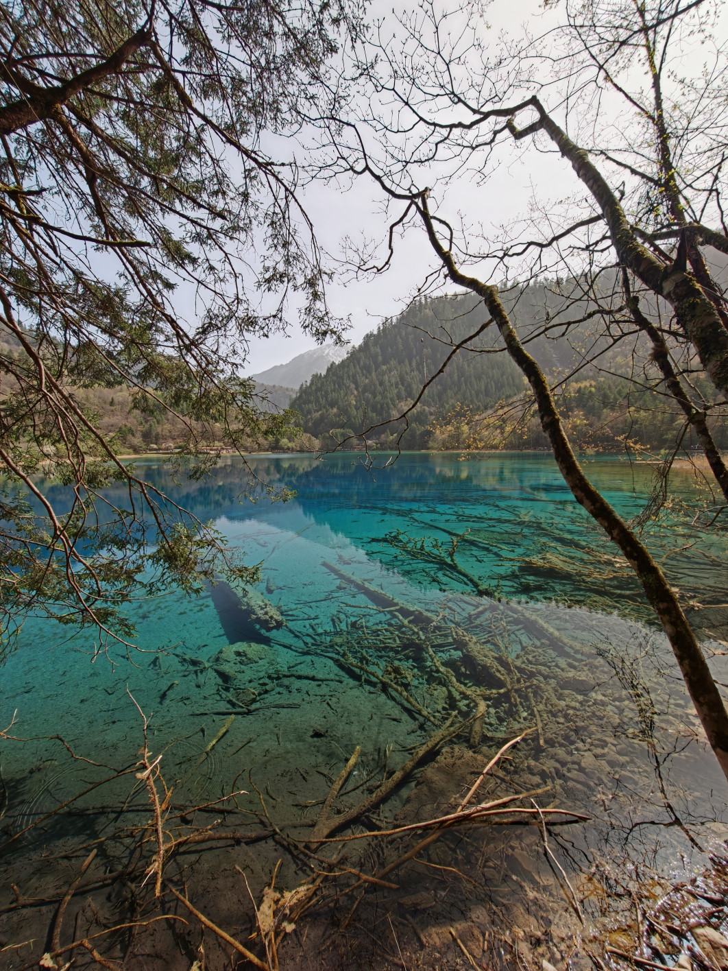 1/228 s, f/2, ISO 50, 2.6 mm