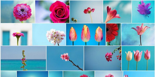 Flickr 4.0 - nowy wygląd i funkcje