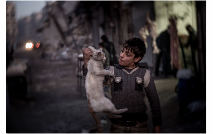 Christian Werner „Road to Ruin“, II miejsce w kategorii Storyboard Siena International Photo Awards 2018 | Wraz z upadkiem Aleppo, reżim Bashara Assada po raz kolejny kontroluje drugie co do wielkości miasto w kraju. Ale czy możliwe jest pojednanie? „Pójdź za mną w podróż po stanie dyktatora w gruzach.“ Przez ponad cztery lata różne grupy rebeliantów kontrolowały sąsiedztwo al-Shaar, ale syryjskie i rosyjskie myśliwce niedawno przekształciły połowę miasta w gruz. Rebelianci i ich zwolennicy opuścili miasto, a po zwycięstwie reżimu pozostali tylko ci, którzy popierają prezydenta. Wizyta w Syrii Assada jest jak wejście w apokaliptyczny świat.