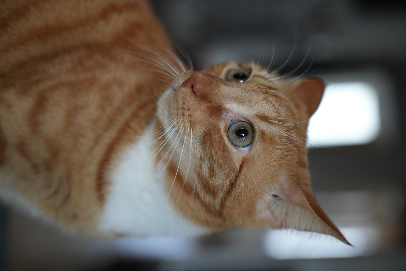 1/125 s, f/2.8, ISO 1600, 60.0 mm