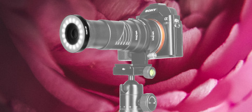 Venus Optics zaprezentowało pierścieniową lampę makro