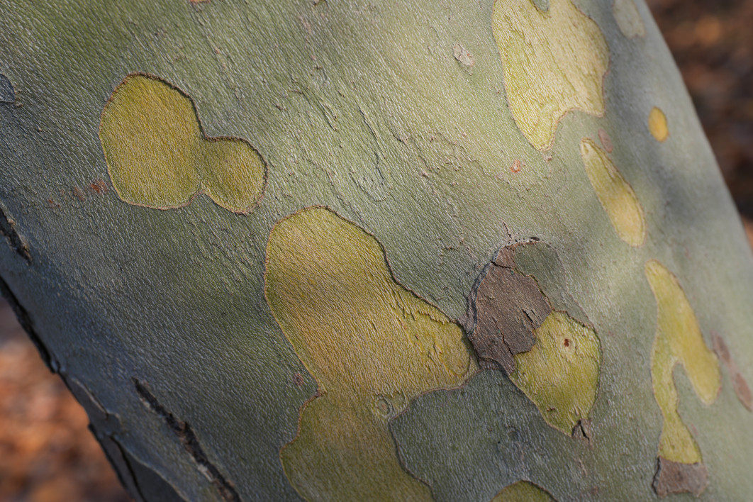 1/160 s, f/5.6, ISO 200, 53.0 mm