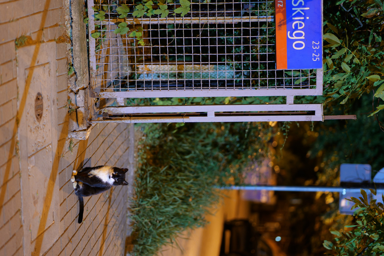 1/5 s, f/1.8, ISO 1600, 85.0 mm