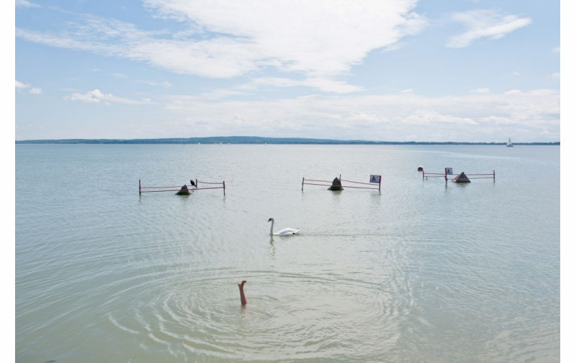 TOMASZ PADŁO, FREELANCER - III miejsce w kategorii Przyroda (zdjęcie pojedyncze
Pejzaż jeziora Balaton z łabędziem i nogą dziecka.
Keszthely (Węgry), 18 sierpnia 2015 r.
