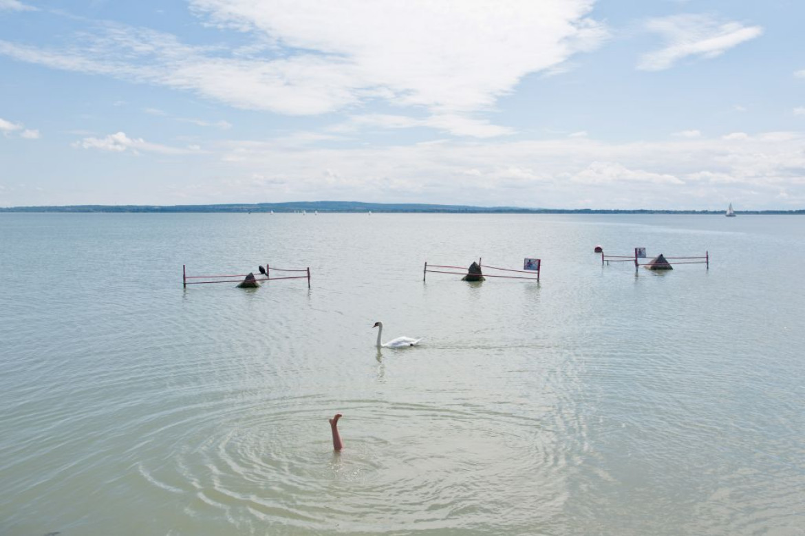 TOMASZ PADŁO, FREELANCER - III miejsce w kategorii "Przyroda" (zdjęcie pojedyncze
Pejzaż jeziora Balaton z łabędziem i nogą dziecka.
Keszthely (Węgry), 18 sierpnia 2015 r.
