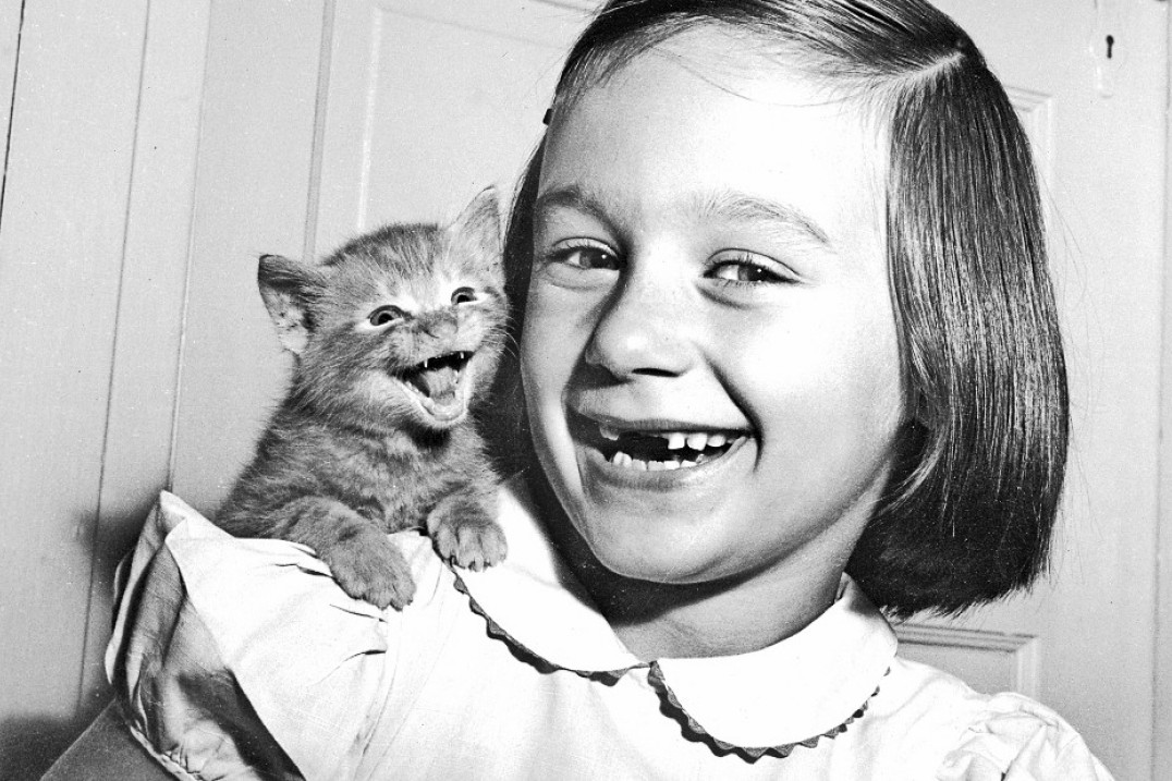 Zmarł Walter Chandoha - fotograf, który robił zdjęcia kotów, zanim stało się to modne