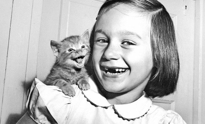  Zmarł Walter Chandoha - fotograf, który robił zdjęcia kotów, zanim stało się to modne