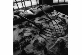 Fot. Arthur Tress, Making Leaves, NY 1978