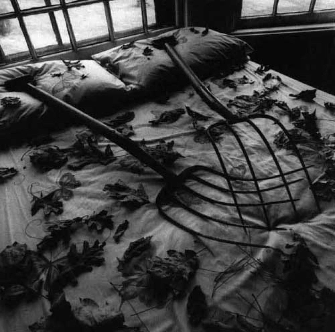 Fot. Arthur Tress, Making Leaves, NY 1978