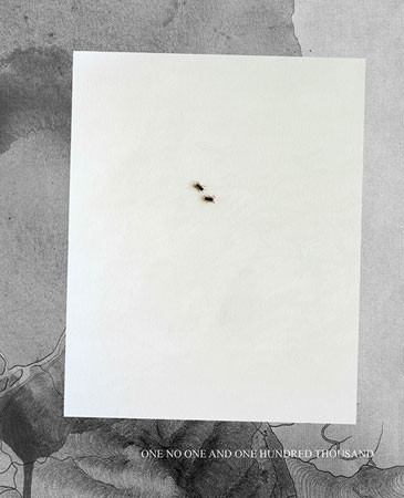 Nicholas Albrecht "One, No One and One Hundred Thousand" - recenzja