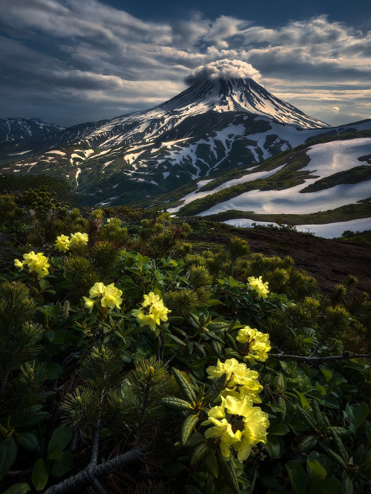 fot. Isabella Tabacchi, z cyklu Kamchatka: to The Abyss of The Earth, 1. miejsce w kategorii Nature i tytuł Fotografa Roku / Moscow International Foto Awards 2020