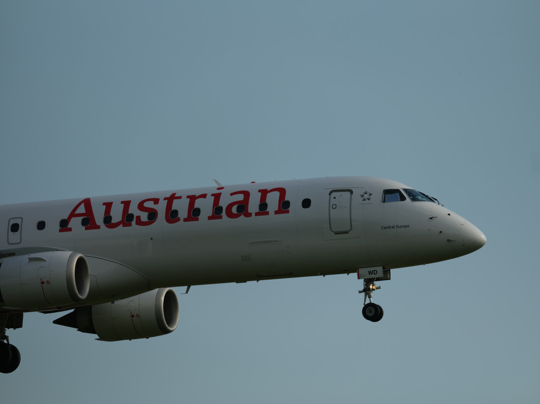 1/2500 s, f/5.6, ISO 400, 500.0 mm