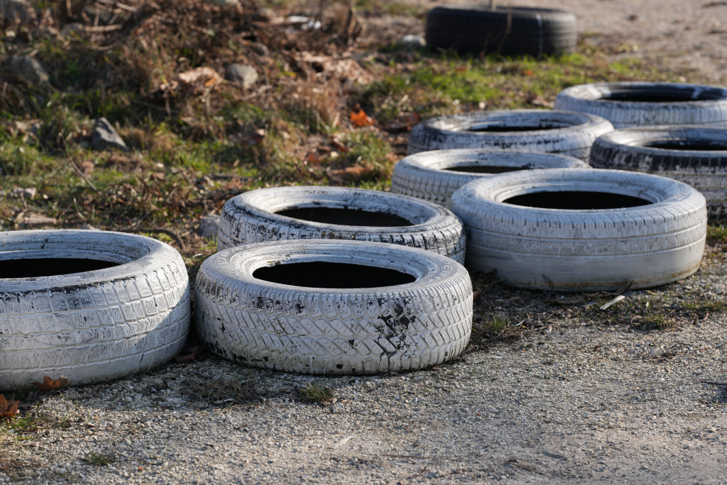 1/250 s, f/5.6, ISO 100, 135.0 mm