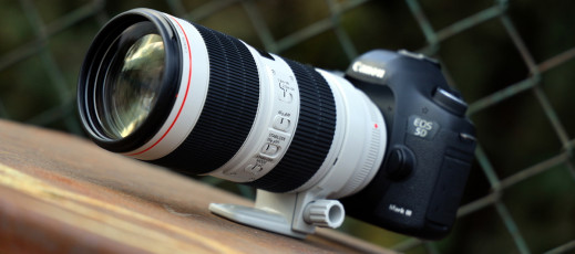 Canon EF 70-200 mm f/2.8L IS III USM - zdjęcia przykładowe
