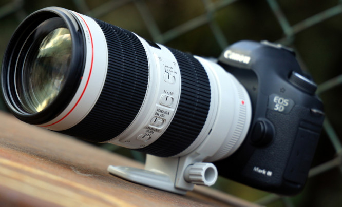 Canon EF 70-200 mm f/2.8L IS III USM - zdjęcia przykładowe