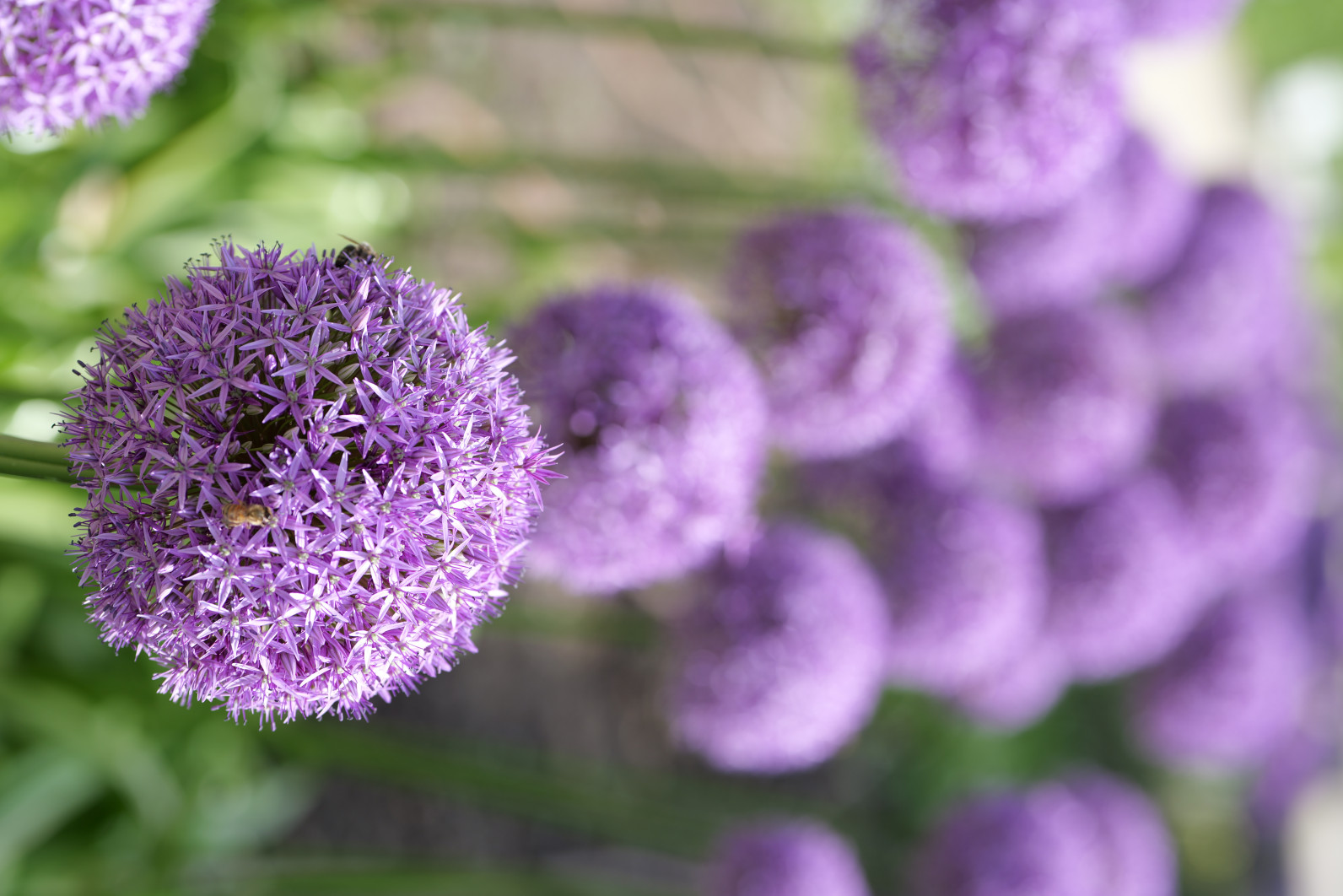 1/400 s, f/4, ISO 100, 85.0 mm