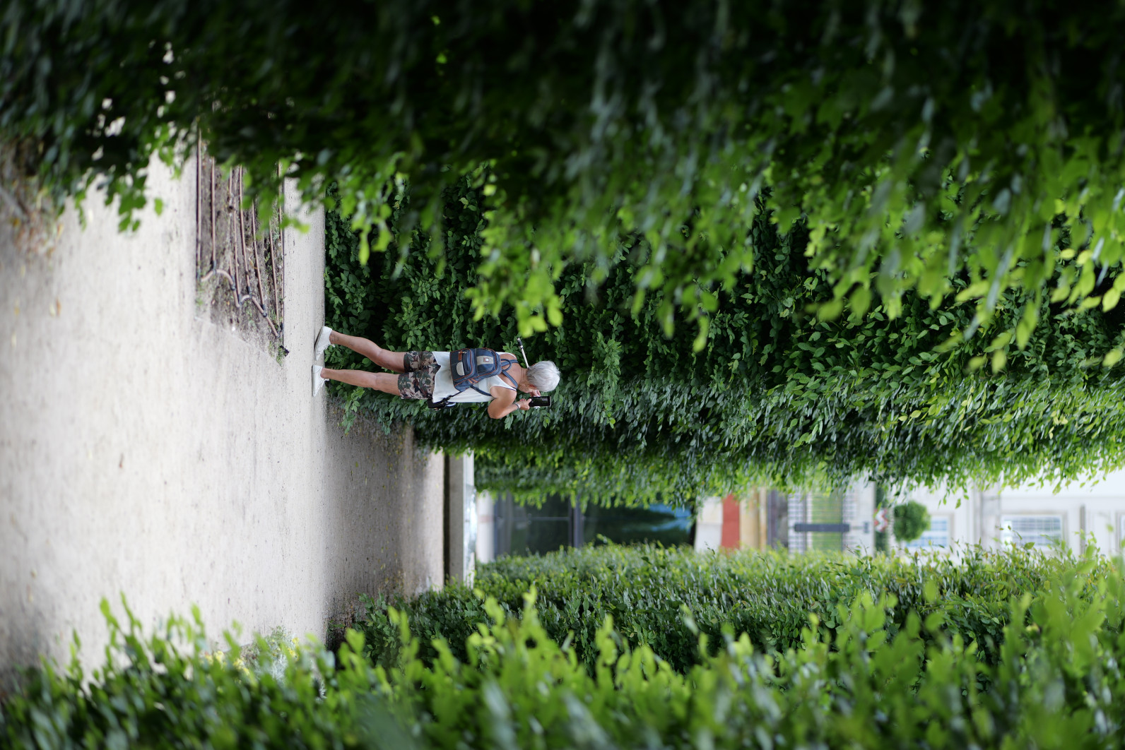 1/400 s, f/2.2, ISO 100, 85.0 mm